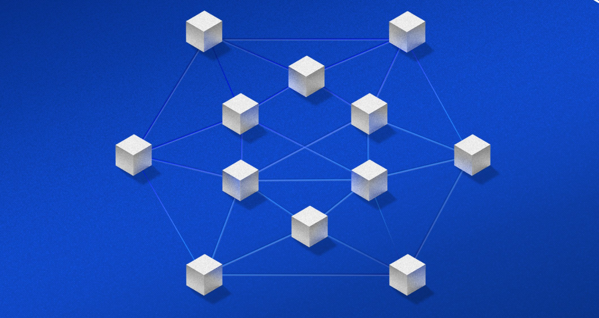 CoinDCX Blockchain Insights Webinar